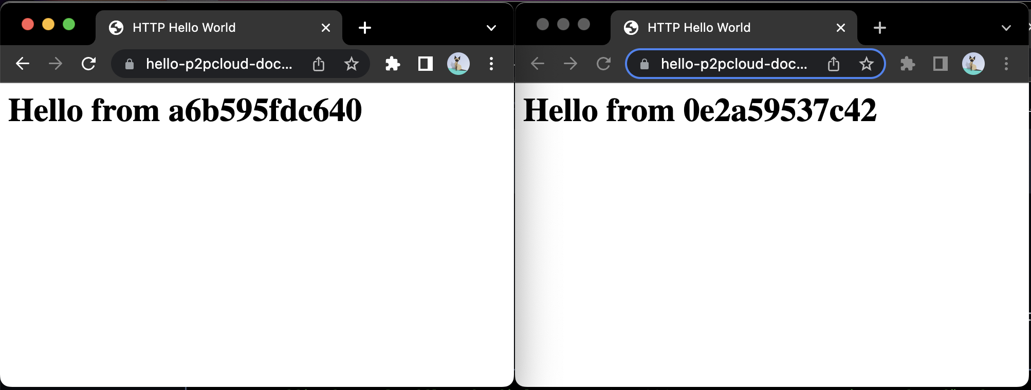 browser with app running