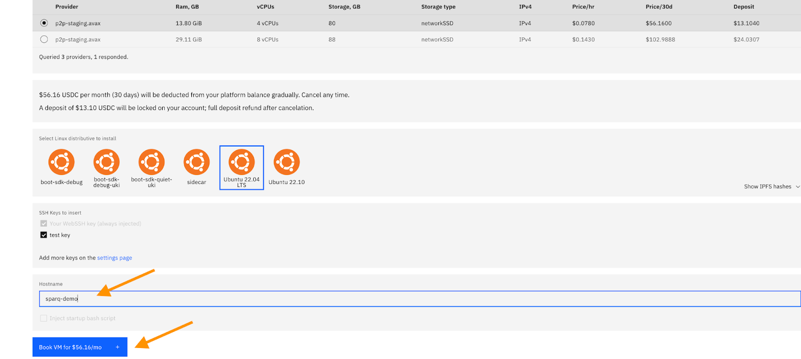 P2P Cloud Hostname